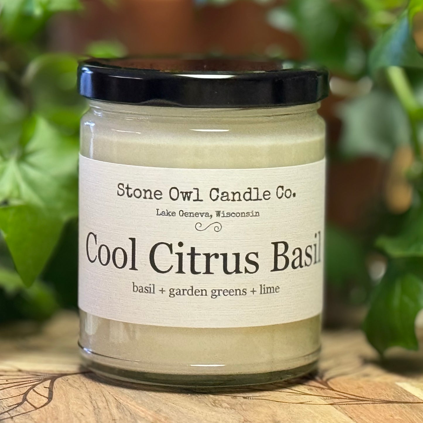 Stone owl candles cool citrus basil candle