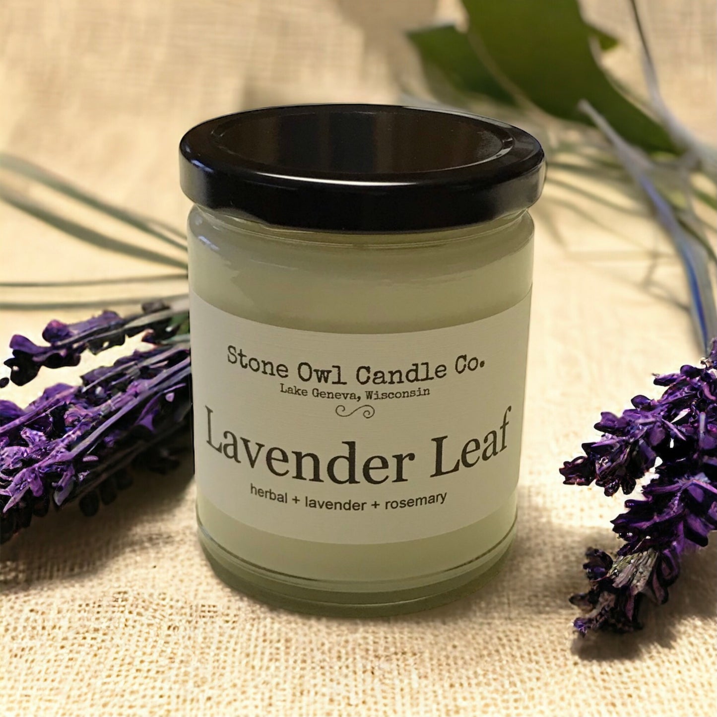 Lavender Leaf